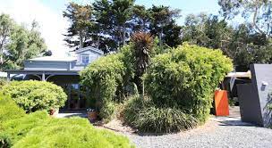 Come and relax at our Phillip Island B and B - Rhyll Haven Luxury B and B where it is tranquil, calming amd away from the hustle and bustle of life. You won't be disappointed.