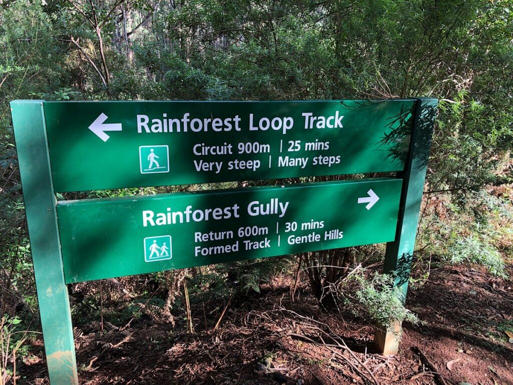 Glen Nayook Rainforest Walk track