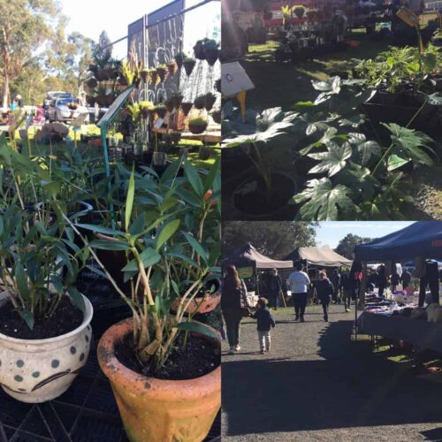 Looking for Sunday Markets Gippsland, then you will want to see the Grantville Community Market held the 4th Sunday for the very best produce from around the district and runs from 8am - 1pm.