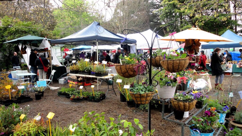 Grantville Community Market is an interesting and variety market where you can find the very best produce from around the district and runs from 8am - 1pm